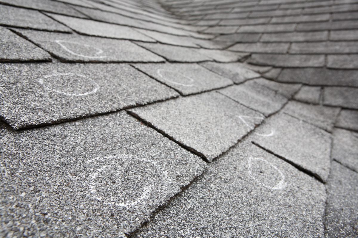 Hail-damaged shingles with chalk circles marking strikes during a Minneapolis roof inspection