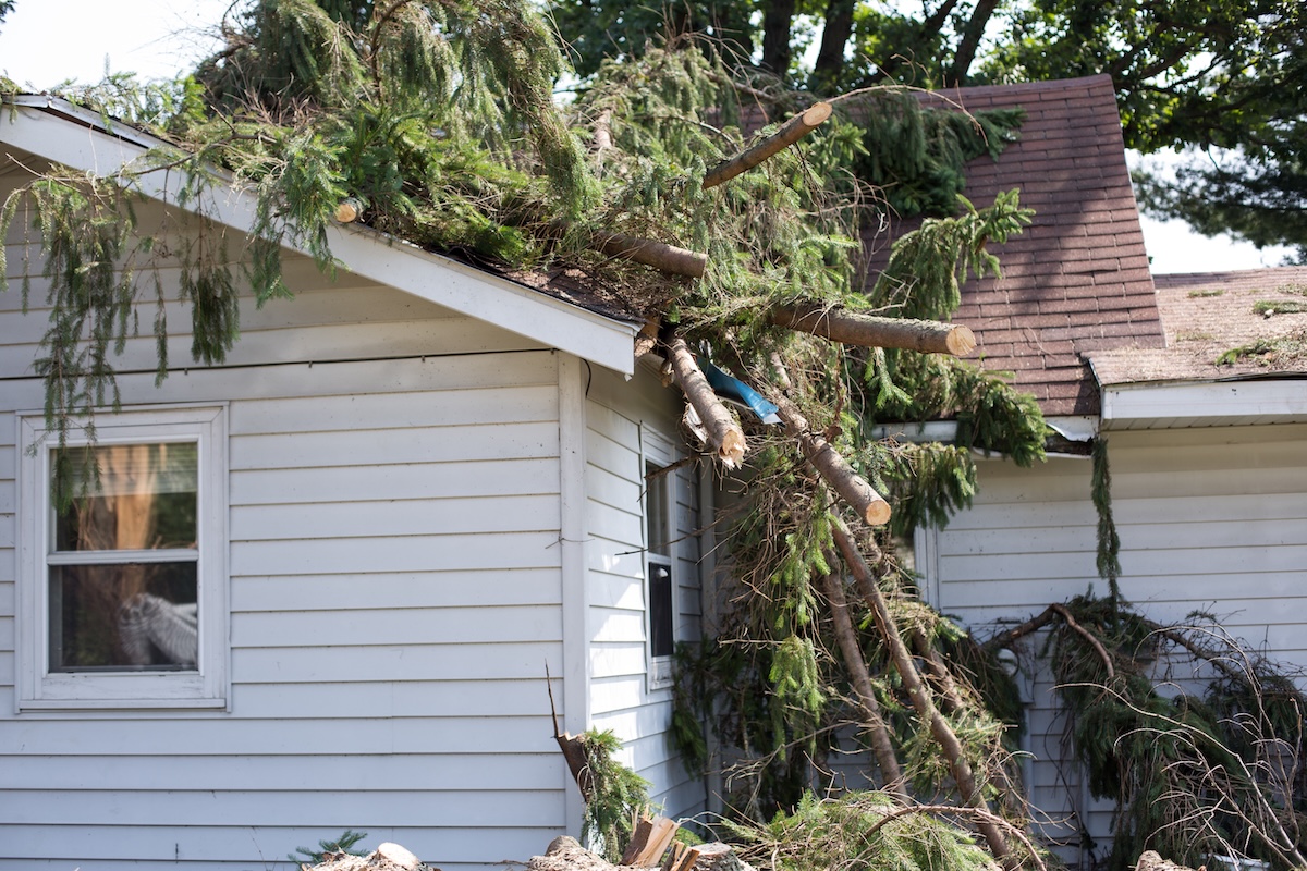 A fallen tree on a residential roof after a major Minneapolis storm