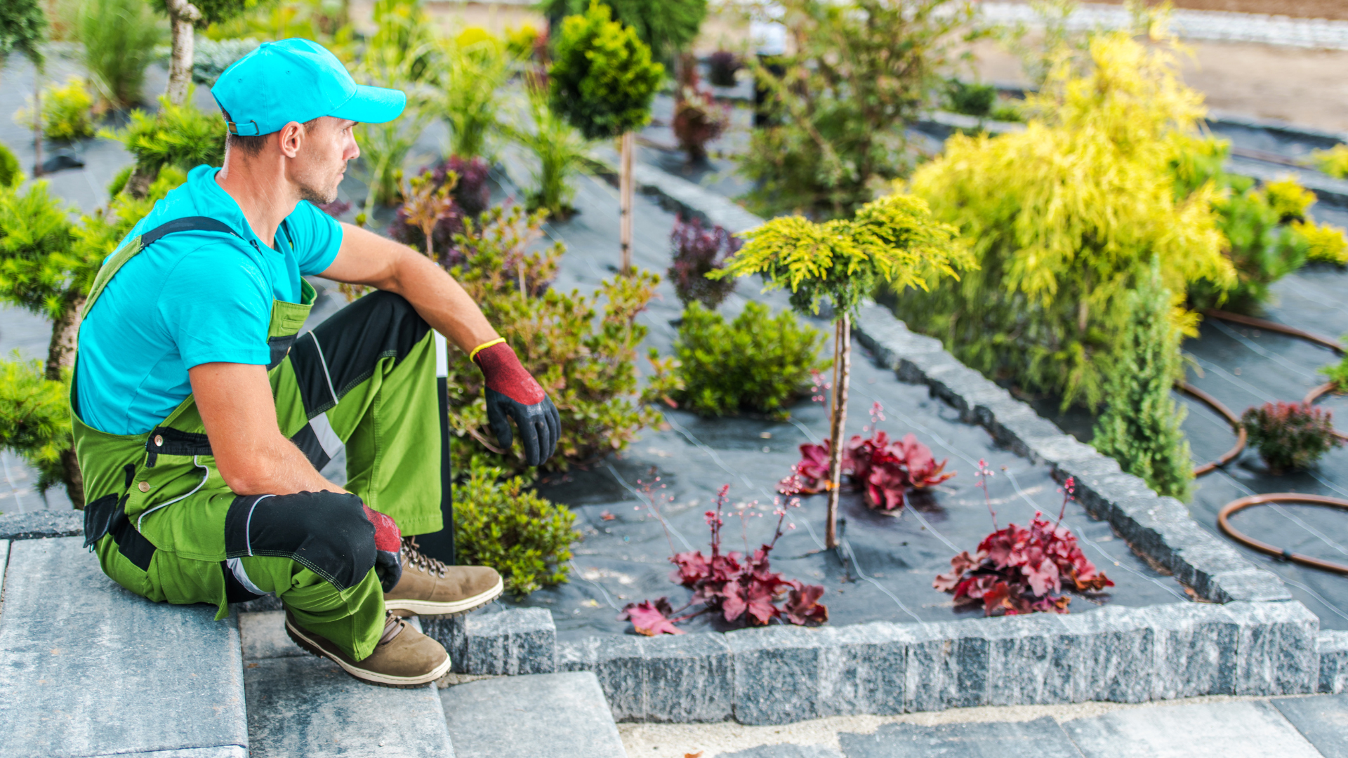 Top 5 Best Landscape Companies in Minneapolis