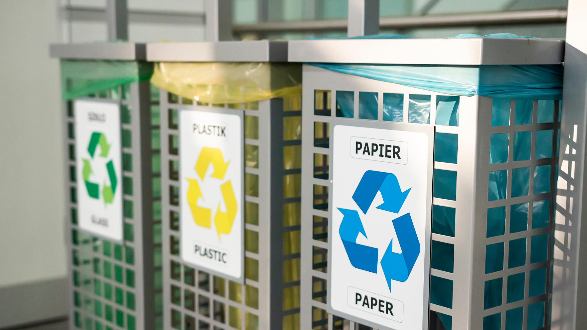Factors to Consider When Choosing a Garbage Can Cleaning Company