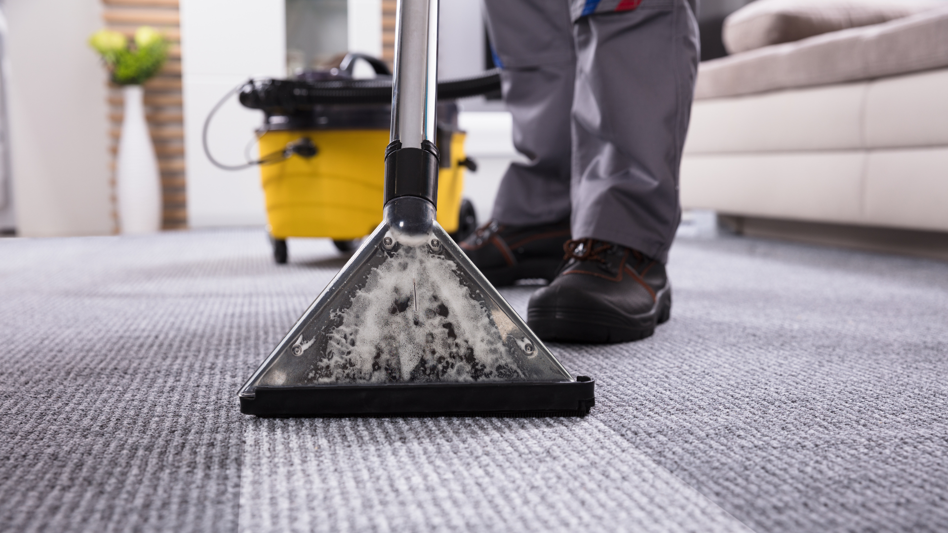 carpet cleaning companies minneapolis