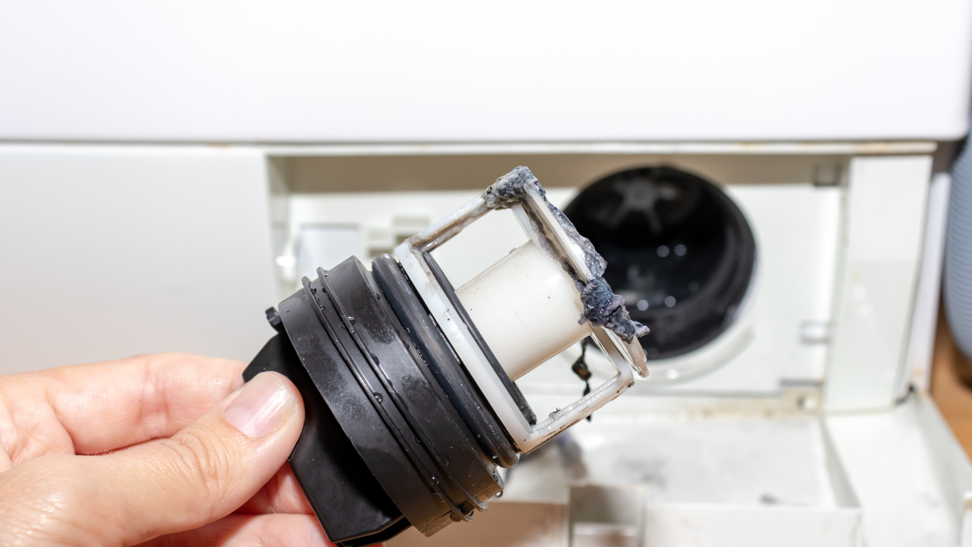 Common Sewer and Drain Issues