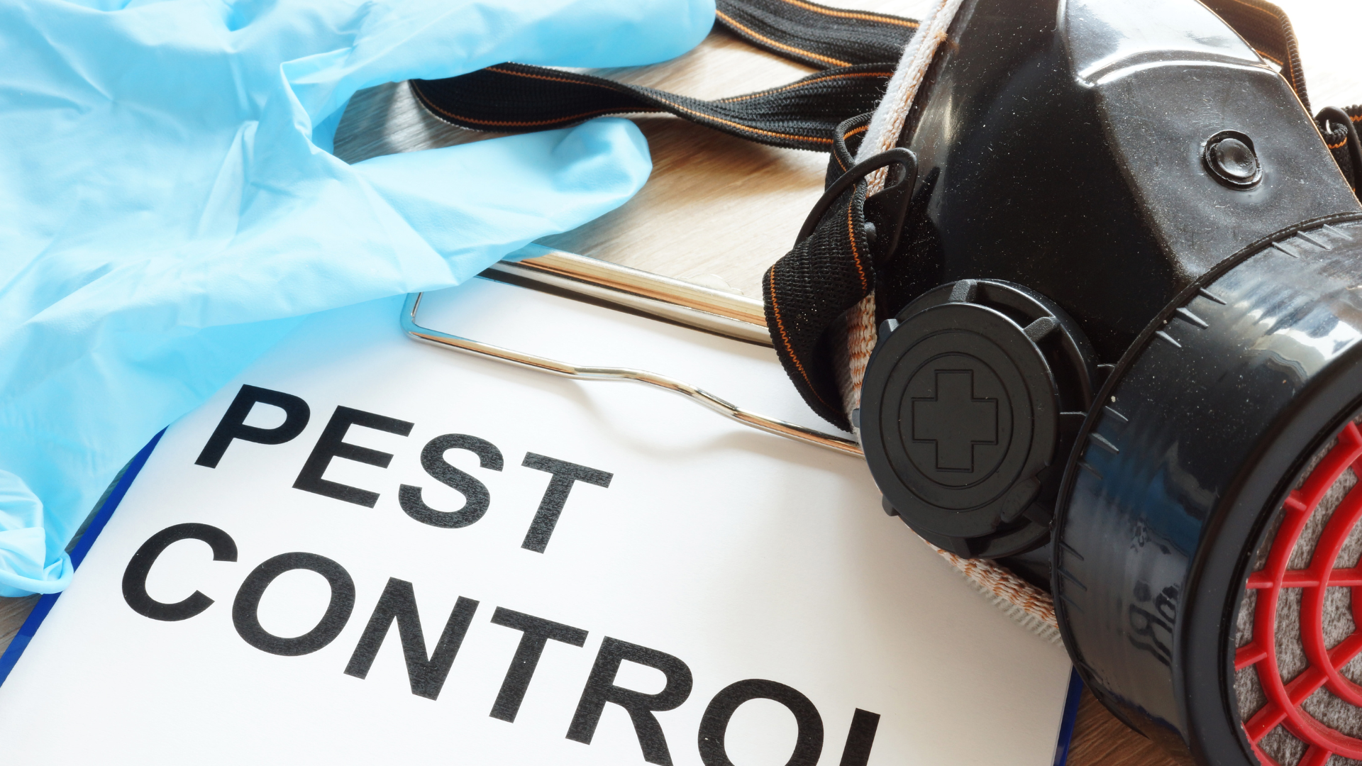 Additional Tips for Effective Pest Control in Minneapolis