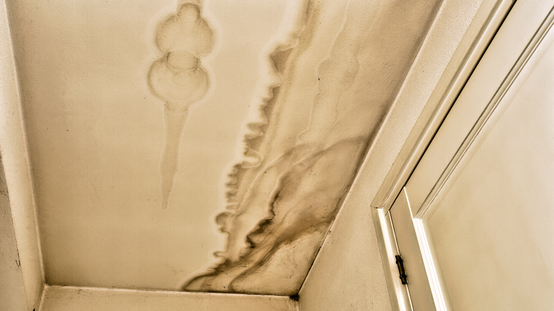 how do i know if my roof is leaking