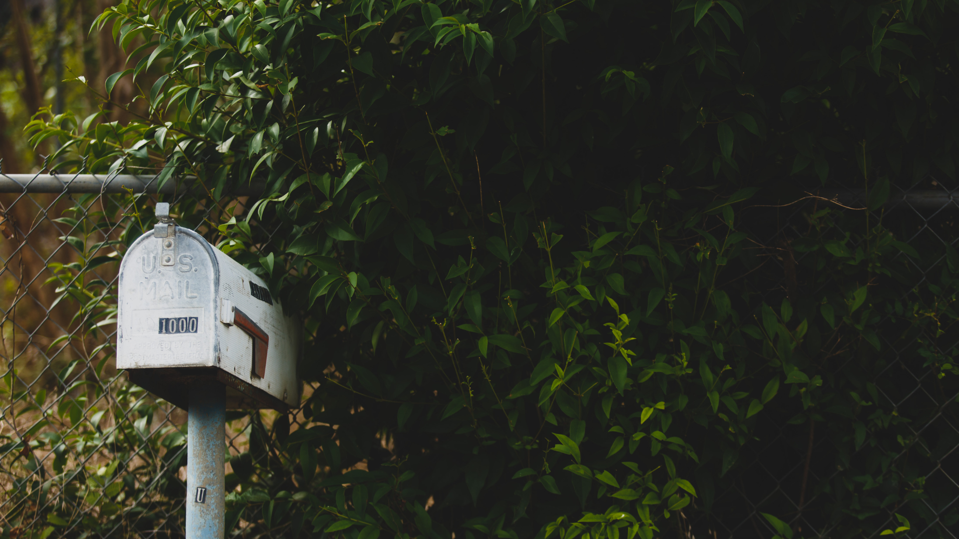 mailbox companies minneapolis