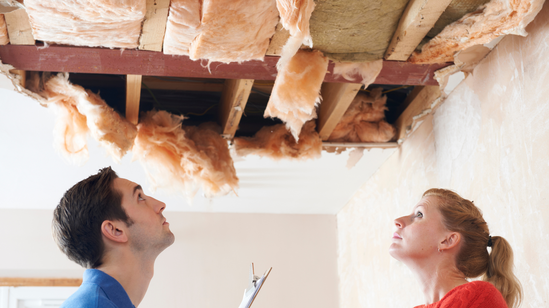 Visual Inspection