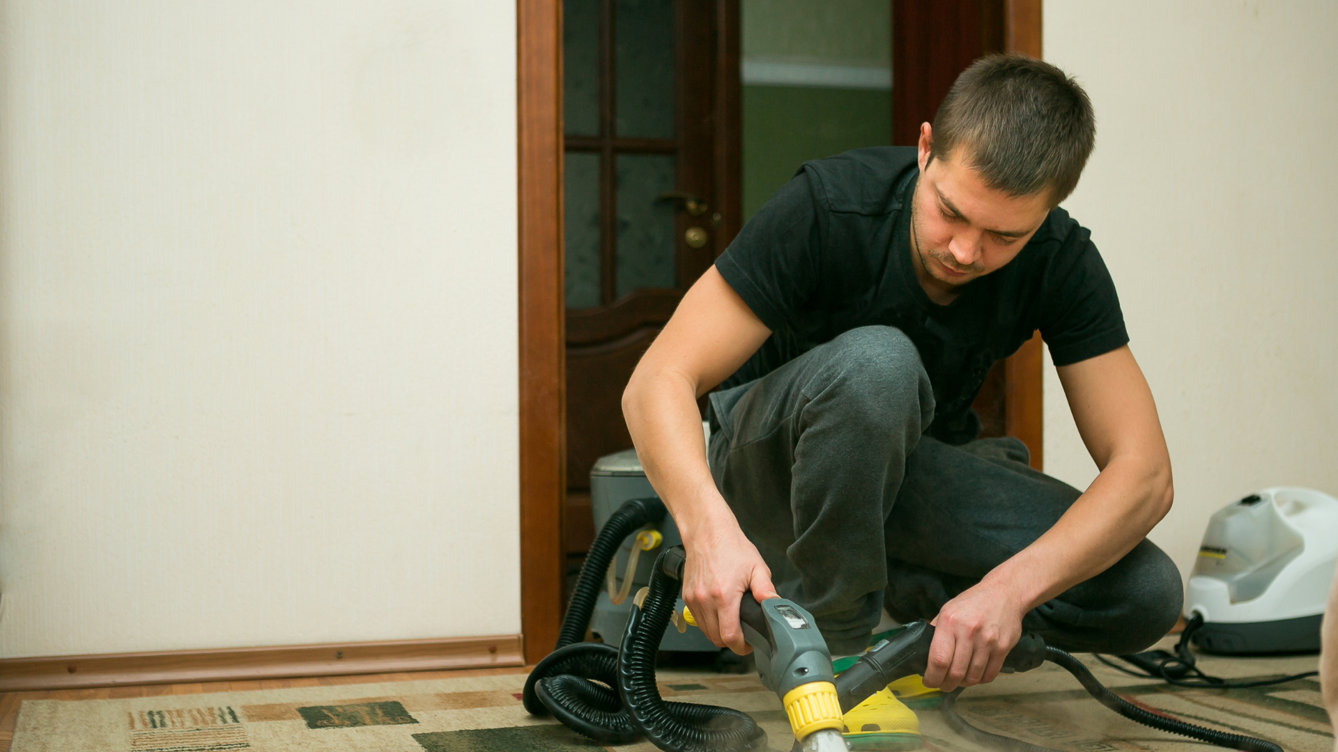 Top 5 Best Carpet Cleaning Companies in Minneapolis, Minnesota