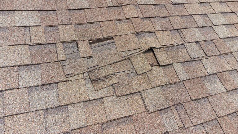 damaged roof shingles in need of repair, Shoreview